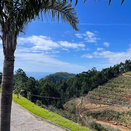Hollywood Villa Campanario Ngoại thất bức ảnh